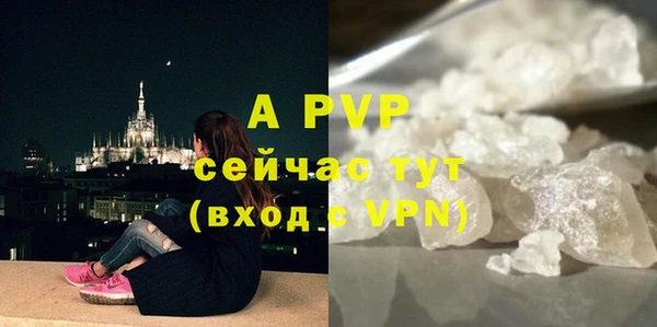 шишки Белоозёрский
