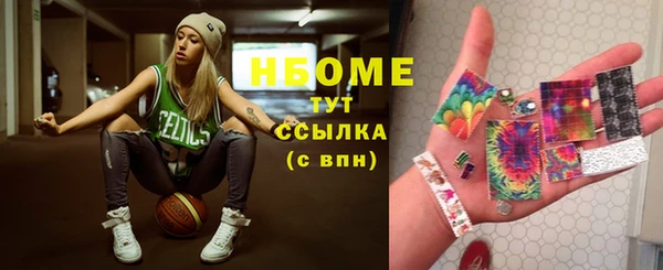 шишки Белоозёрский