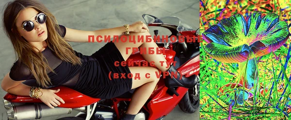 PSILOCYBIN Богородицк
