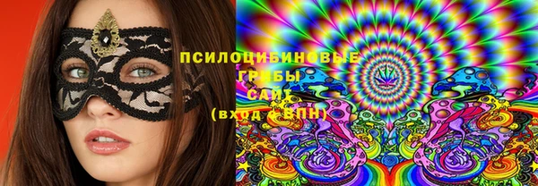 шишки Белоозёрский