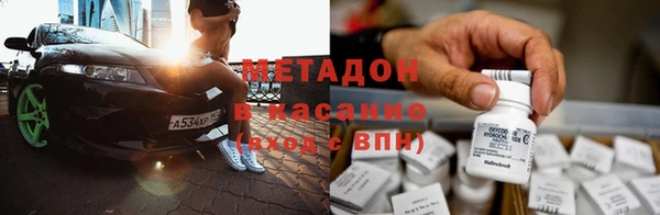 шишки Белоозёрский