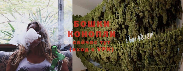 МДПВ Богородск