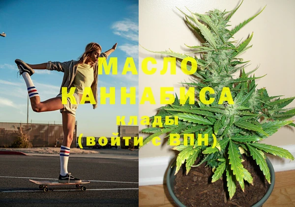 МДПВ Богородск